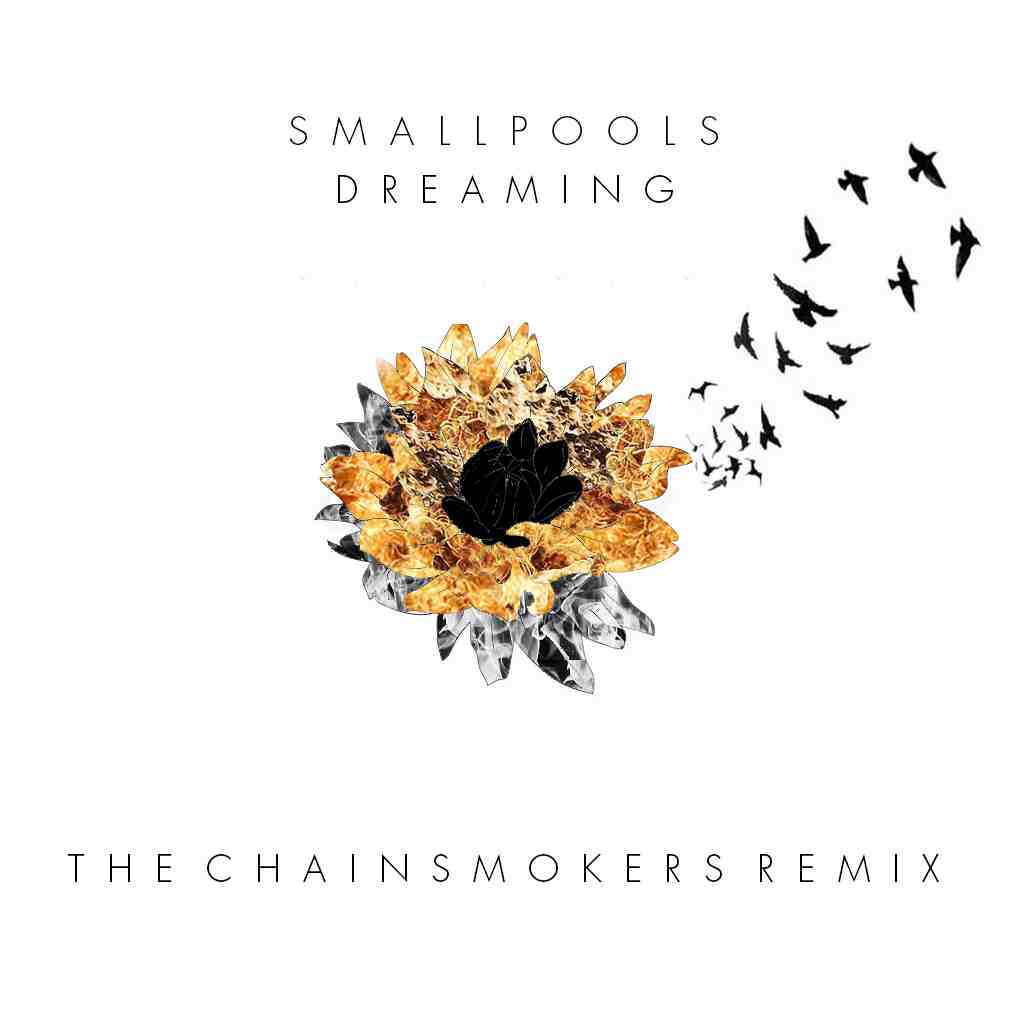 Smallpools - Dreaming (The Chainsmokers Remix) [Free Download]