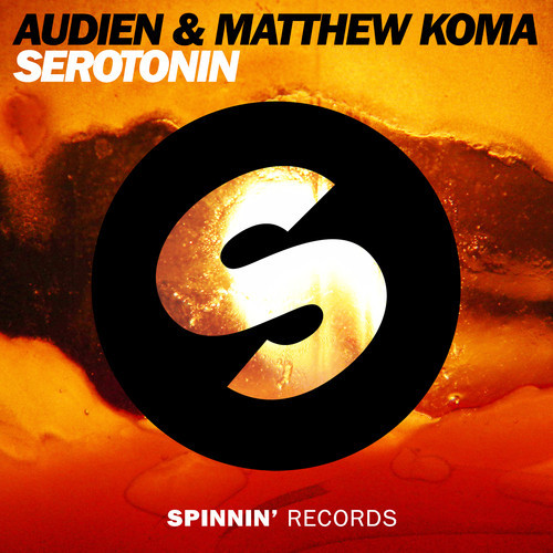 Audien & Matthew Koma - Serotonin (Original Mix)