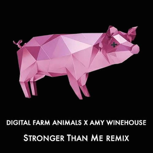 Amy Winehouse - Stronger Than Me (Digital Farm Animals Remix)