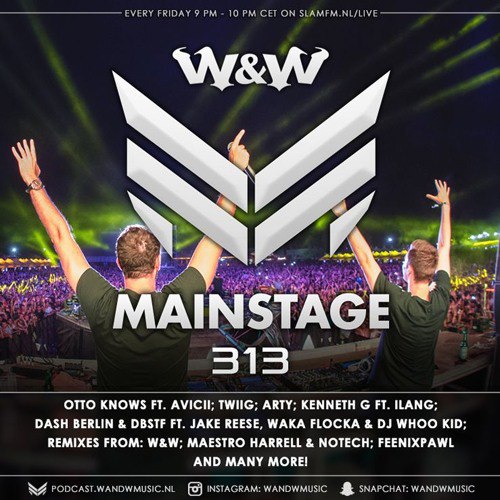 W&W - Mainstage 313