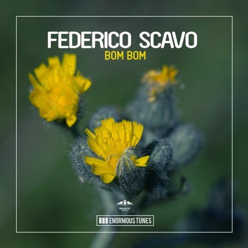 Federico Scavo - Bom Bom (Original Mix)