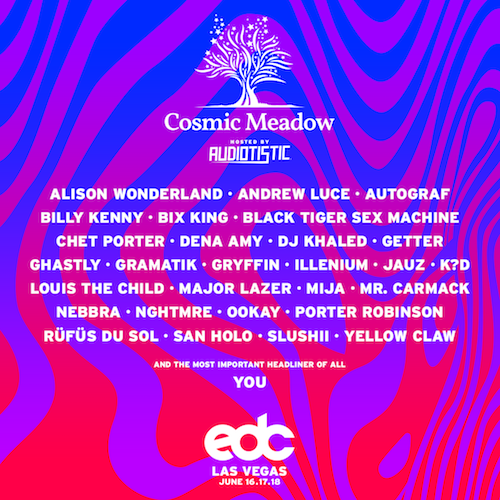 Cosmic Meadow 2017